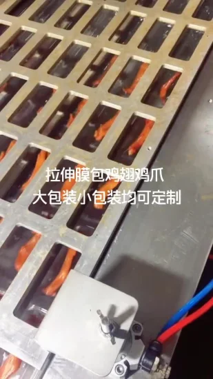 Machine d'emballage de thermoformage de remplissage sous vide et d'étirement de film pour aliments/viande/légumes